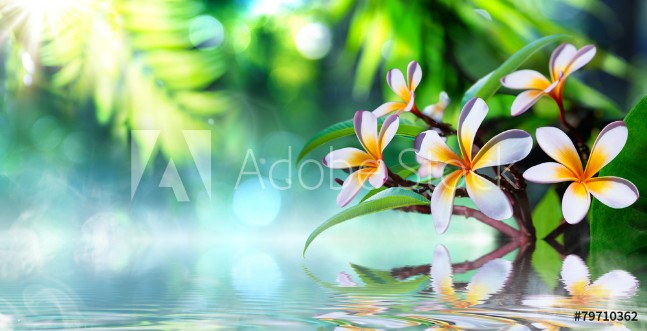 Bild på Zen garden with frangipani and vapour on water